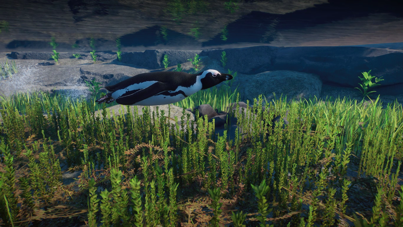 Planet Zoo 2022.06.25 - 13.25.30.05.png