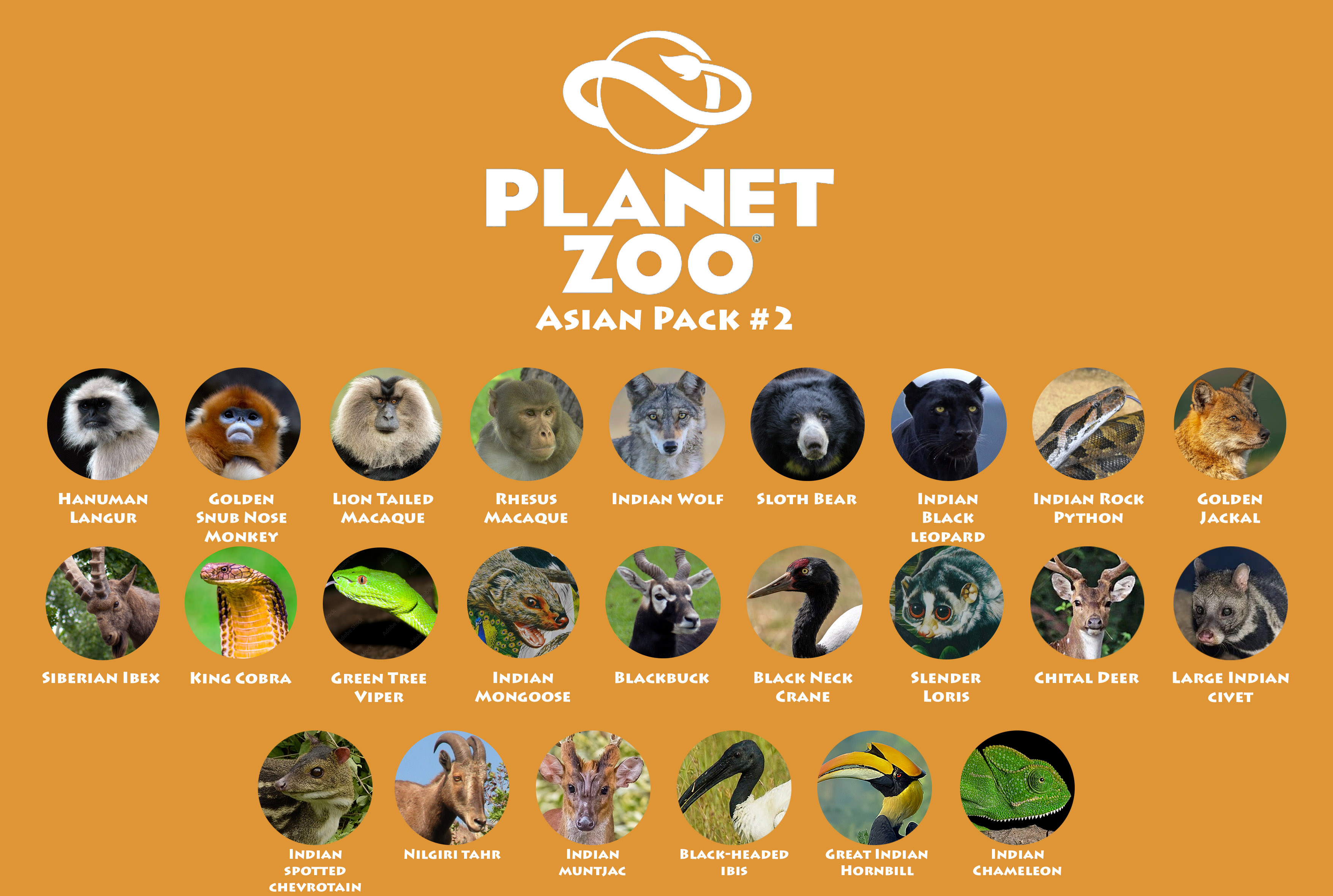 Planet Zoo Asian Pack 2.jpg