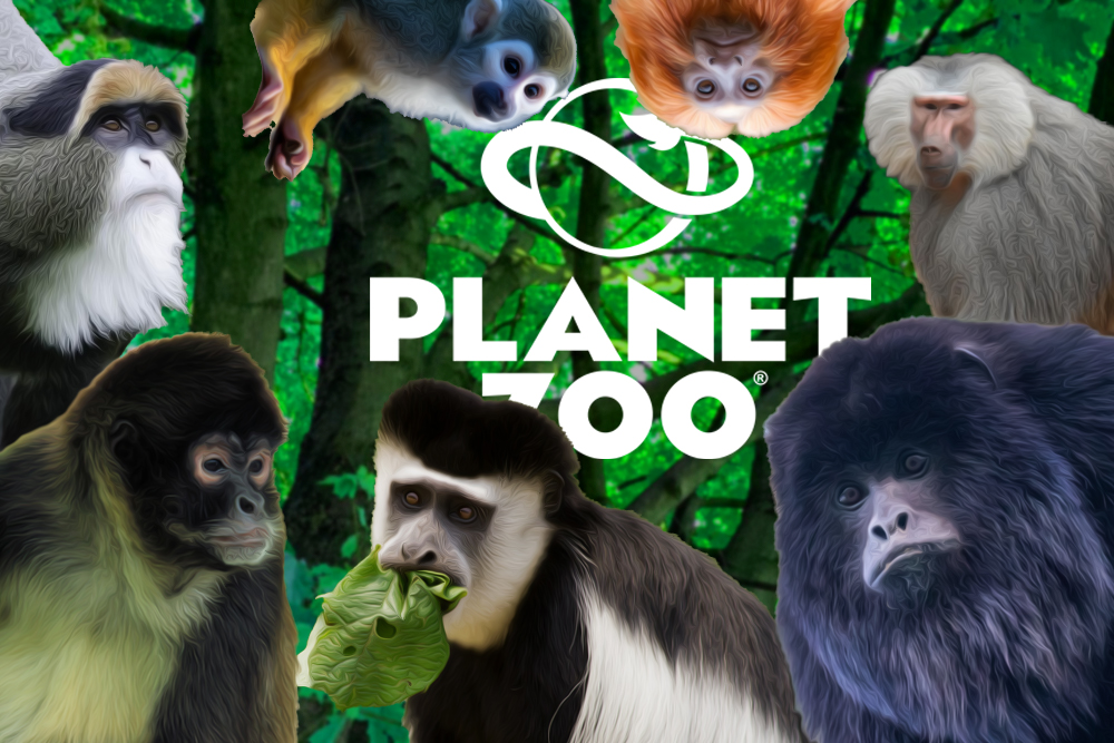 planet-zoo-dls-animal-pack-primates-monkeys.jpg