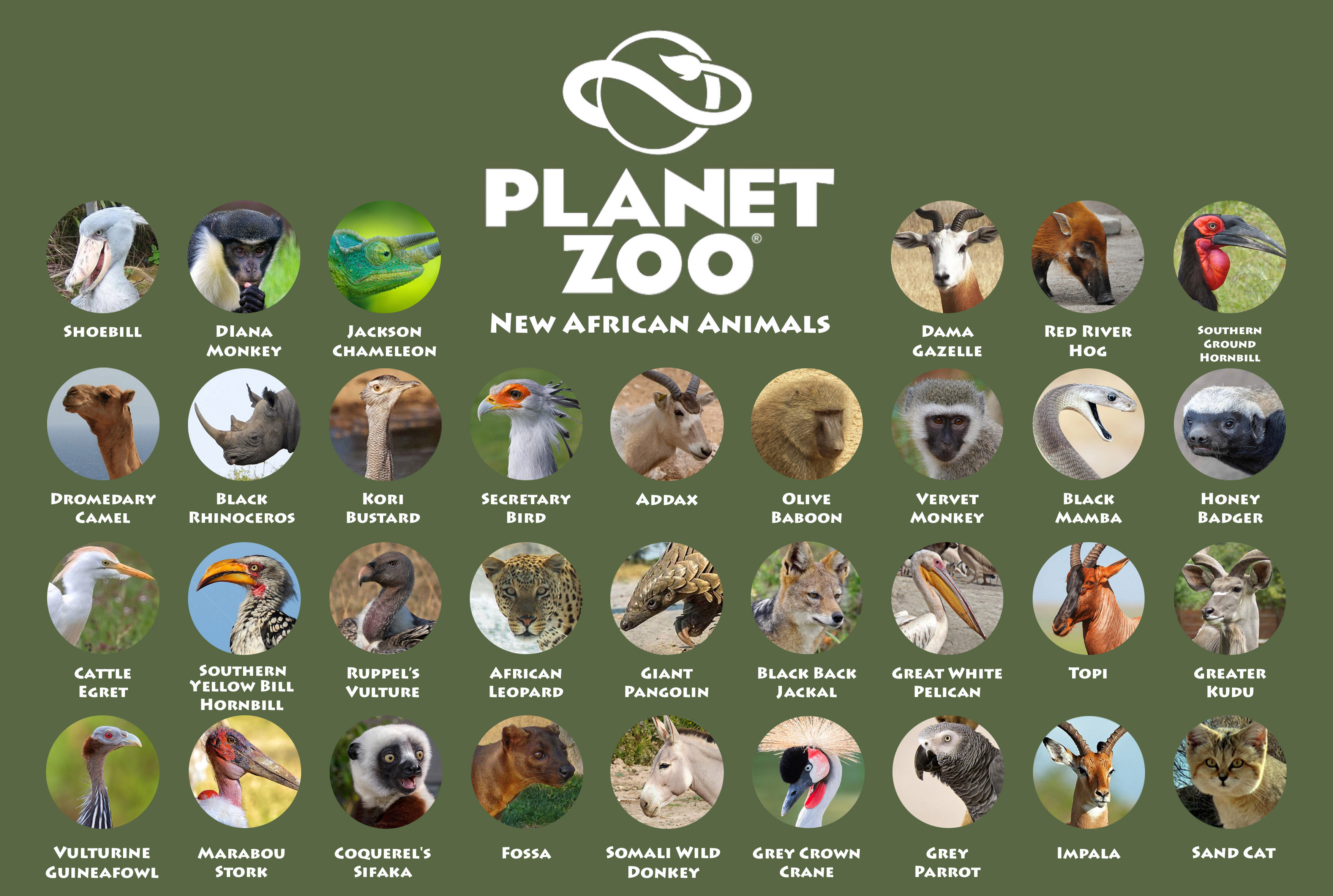 Planet Zoo new African Animals.jpg