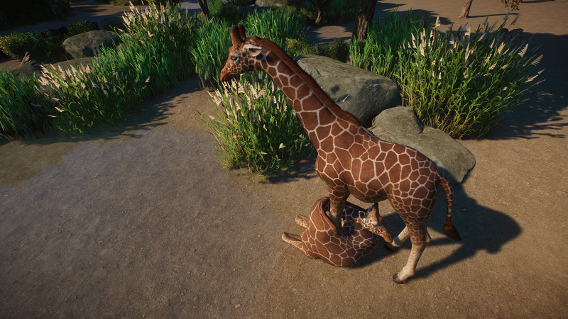 Planet Zoo Screenshot 2020.06.14 - 22.46.00.81.png