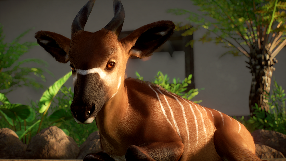 Planet Zoo Screenshot 2020.09.19 - 17.17.49.14.png