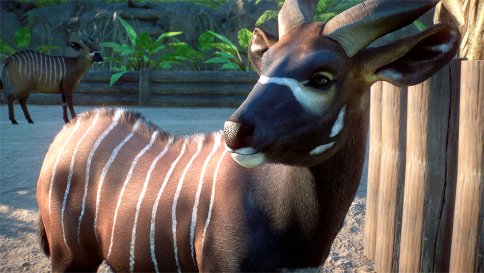 Planet Zoo Screenshot 2020.09.19 - 18.17.03.98.png