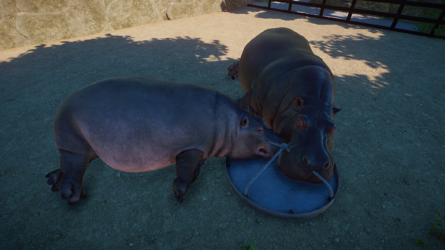 Planet Zoo Screenshot 2020.10.26 - 11.20.01.41.png