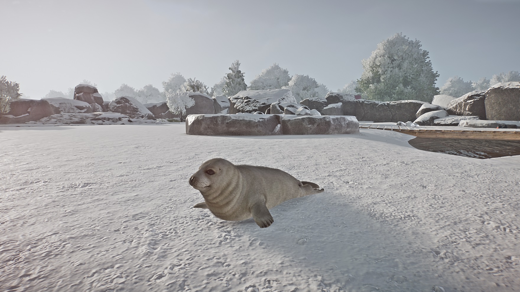 Planet Zoo Screenshot 2020.12.13 - 14.59.29.49.jpg