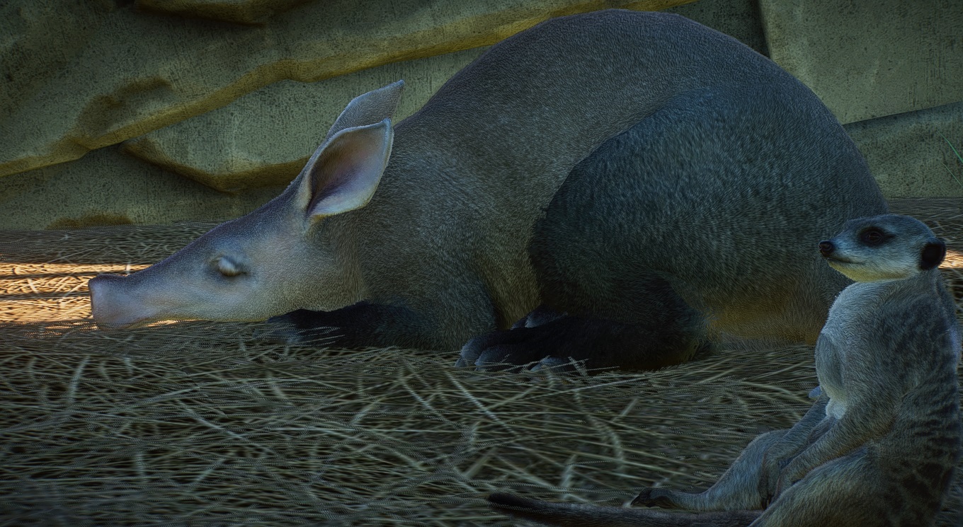 Planet Zoo Screenshot 2021.06.27 - 20.57.17.15.jpg