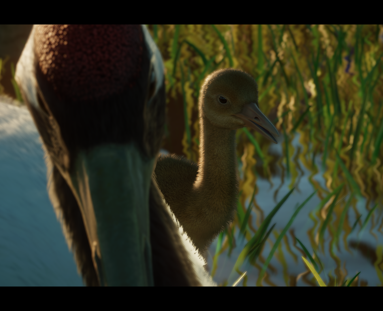 Planet Zoo Screenshot 2022.04.13 - 00.42.04.02.png