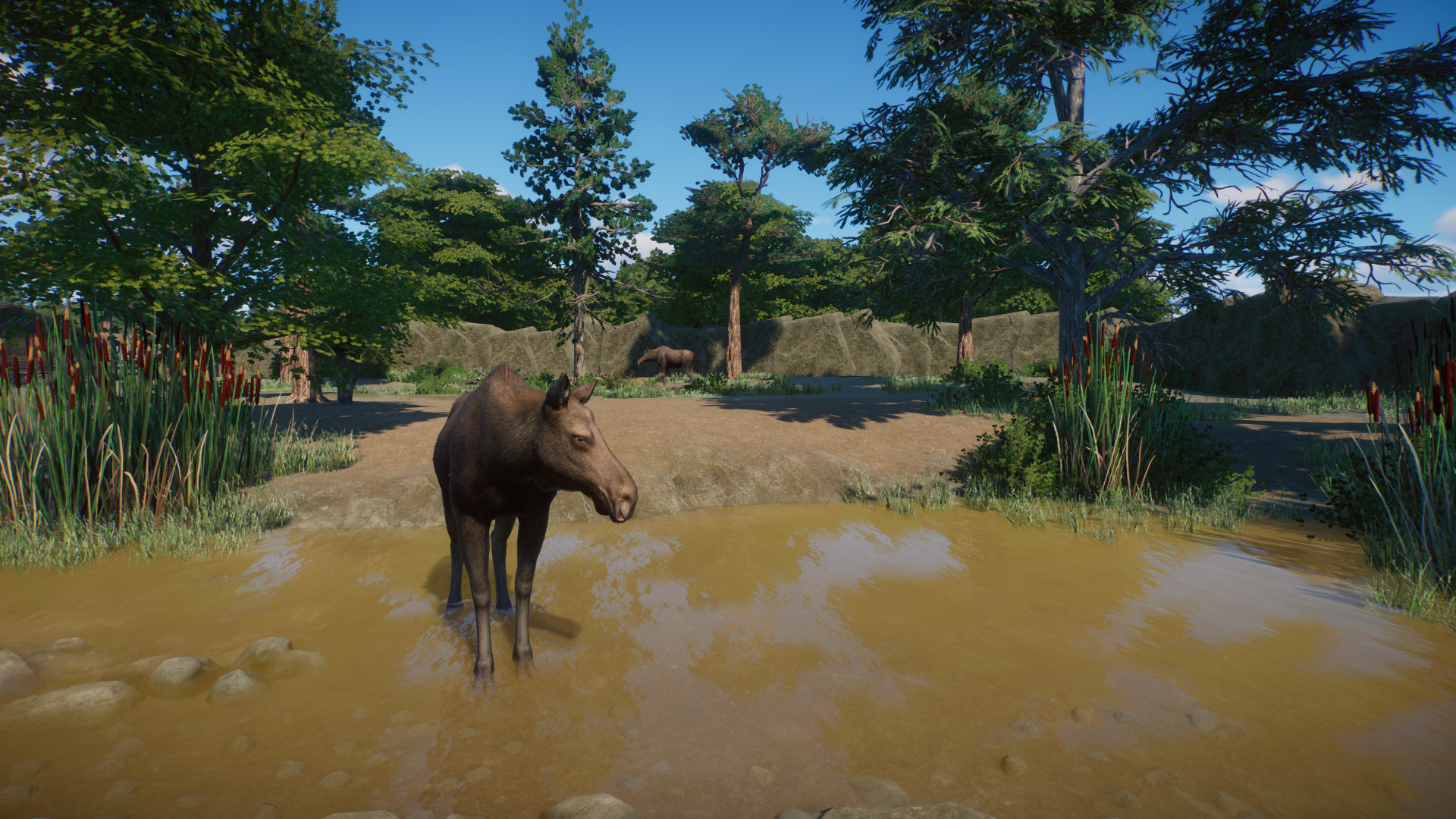 Planet Zoo Screenshot 2022.04.21 - 00.18.21.73.png