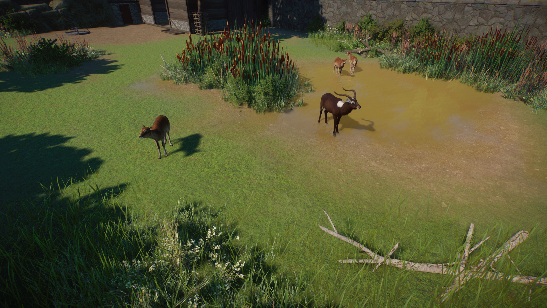 Planet Zoo Screenshot 2022.04.23 - 18.33.57.55.png