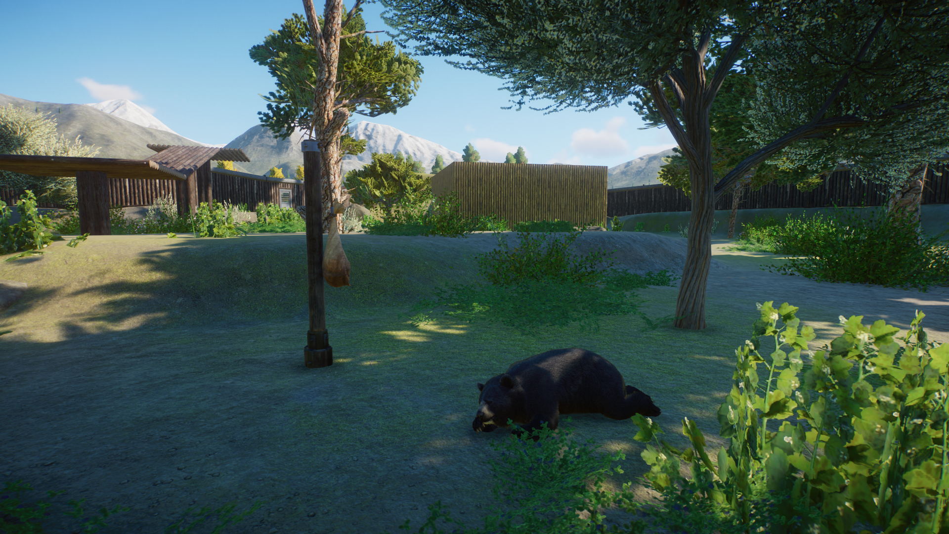 Planet Zoo Screenshot 2022.06.09 - 11.22.18.51.png