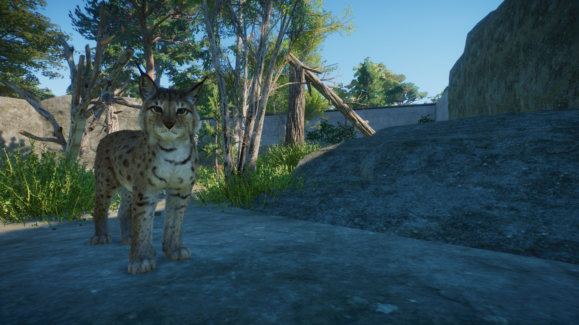 Planet Zoo Screenshot 2022.06.23 - 00.30.29.25.png