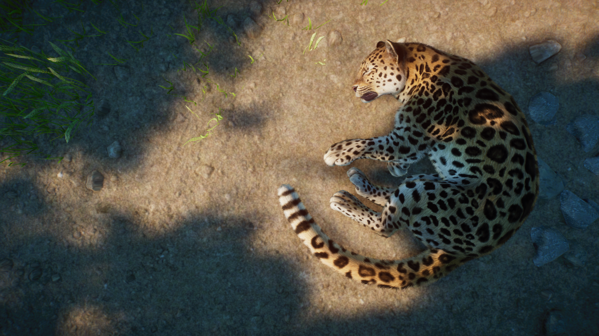 Planet Zoo Screenshot 2022.06.23 - 00.47.22.50.png