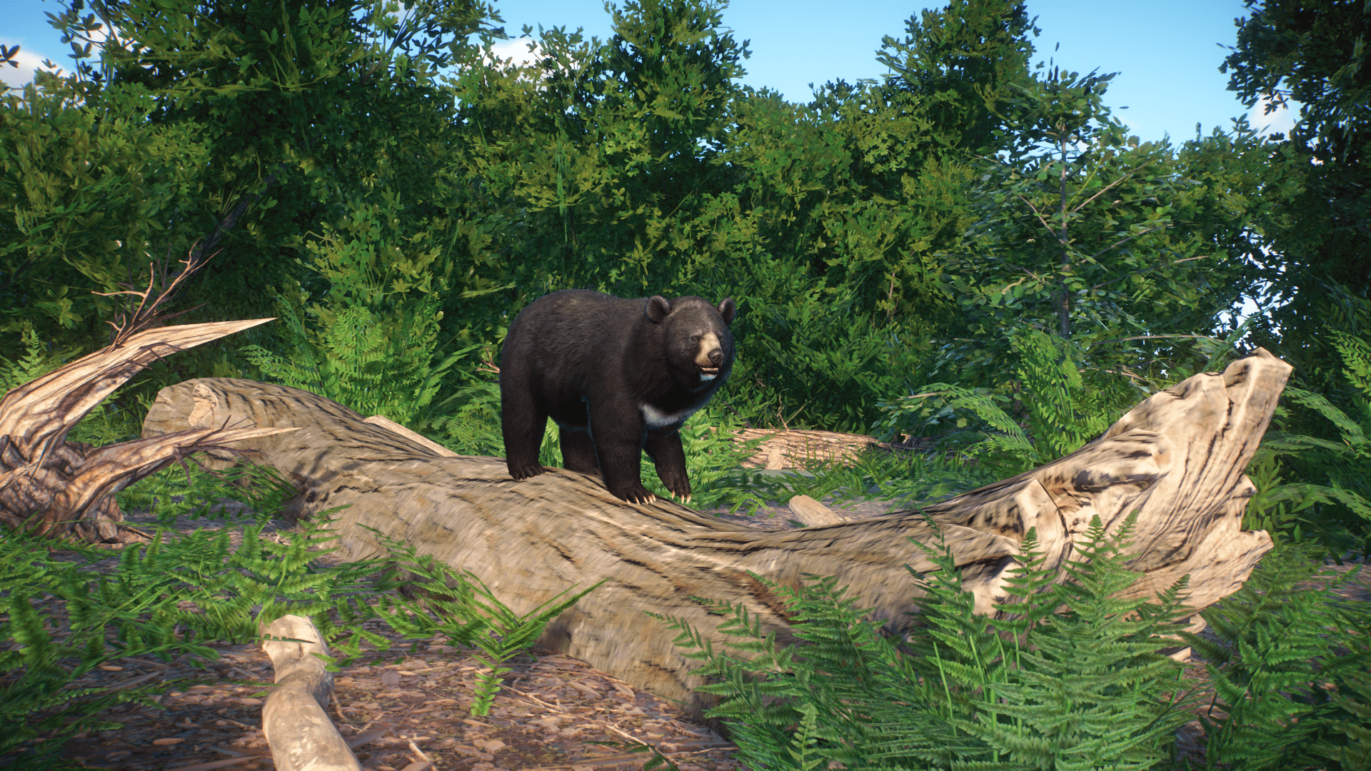 Planet Zoo Screenshot 2022.12.13 - 16.27.10.61 (1).png