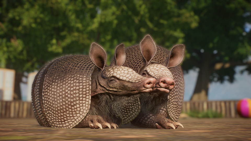 Planet Zoo Screenshot 2022.12.16 - 18.18.42.77.png