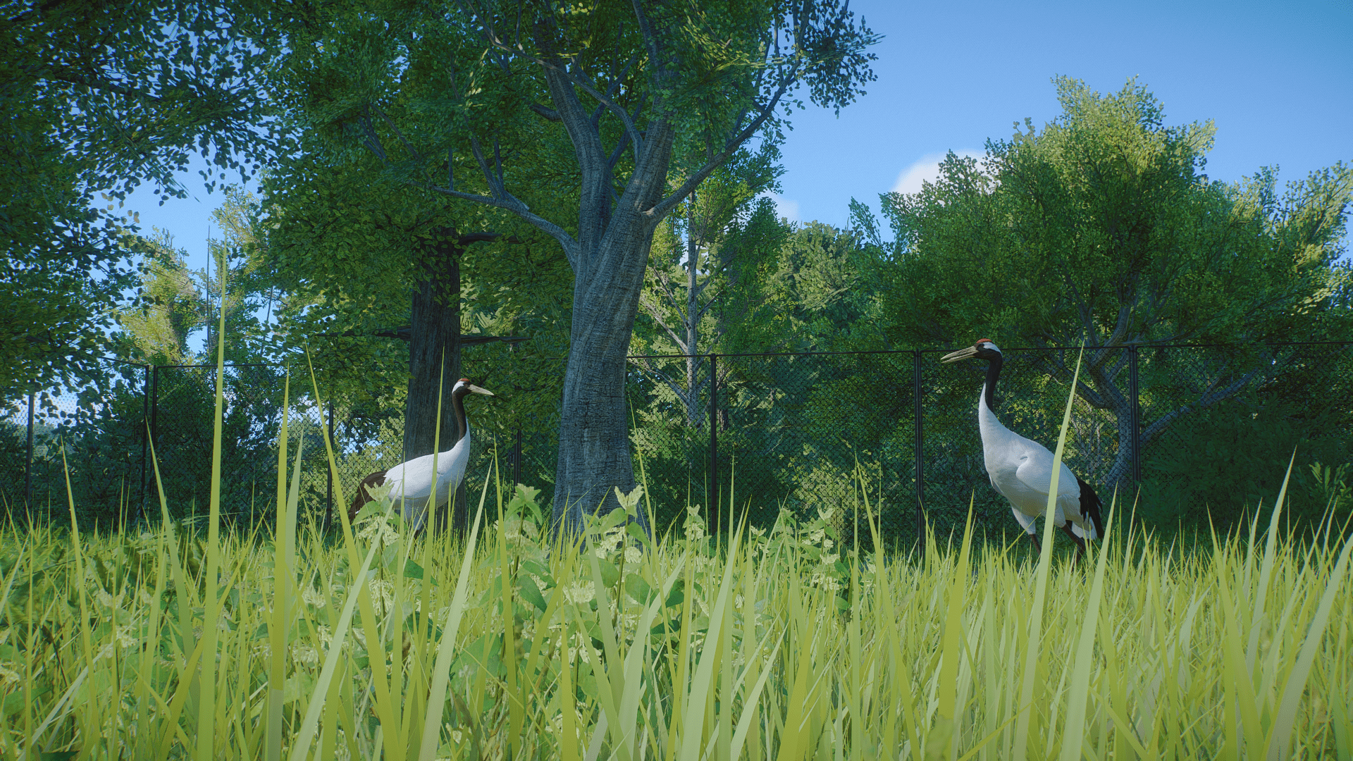 Planet Zoo Screenshot 2023.01.14 - 01.10.34.23.png