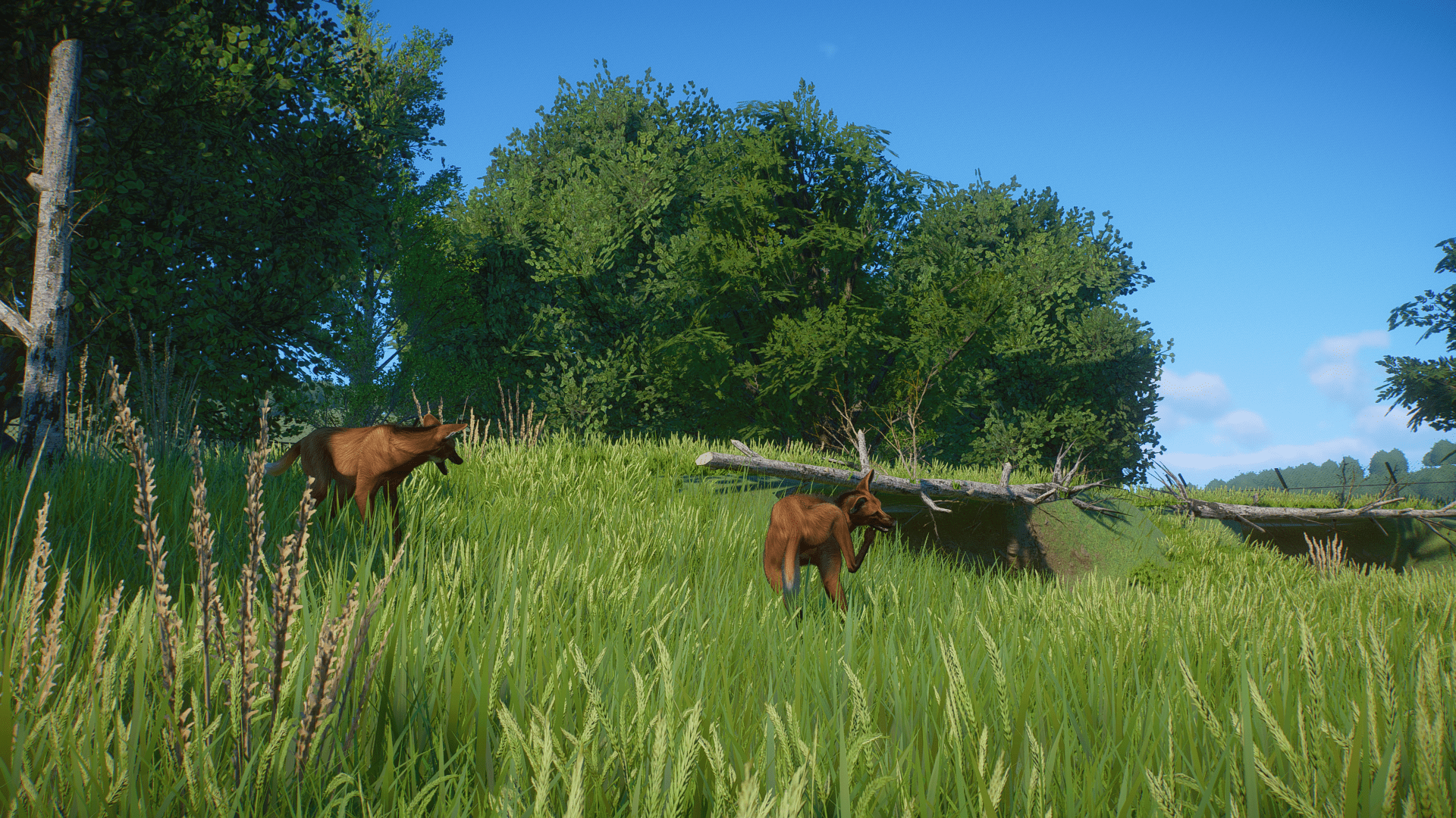 Planet Zoo Screenshot 2023.01.14 - 14.02.04.12.png
