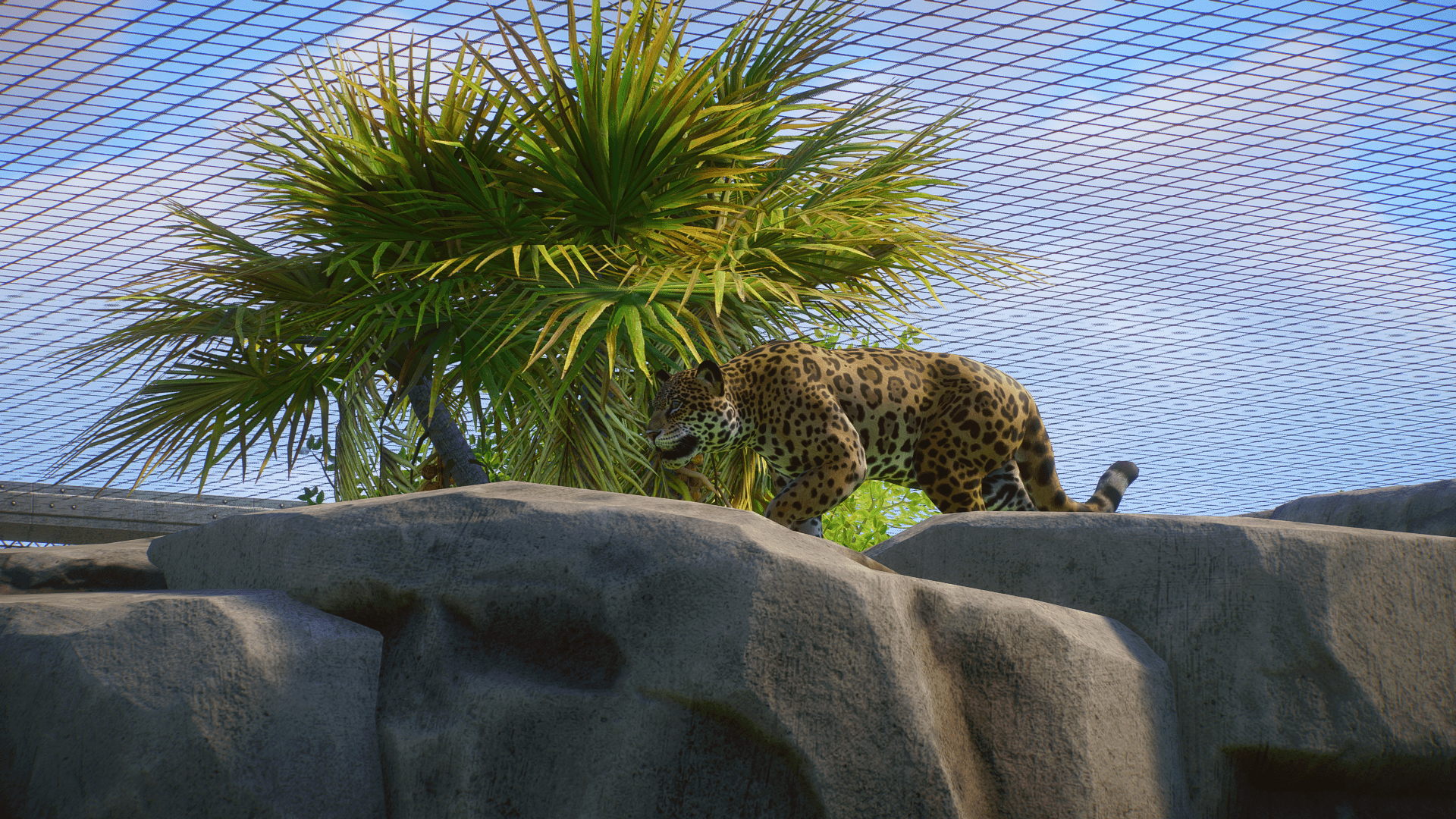 Planet Zoo Screenshot 2023.01.27 - 11.07.00.73.png