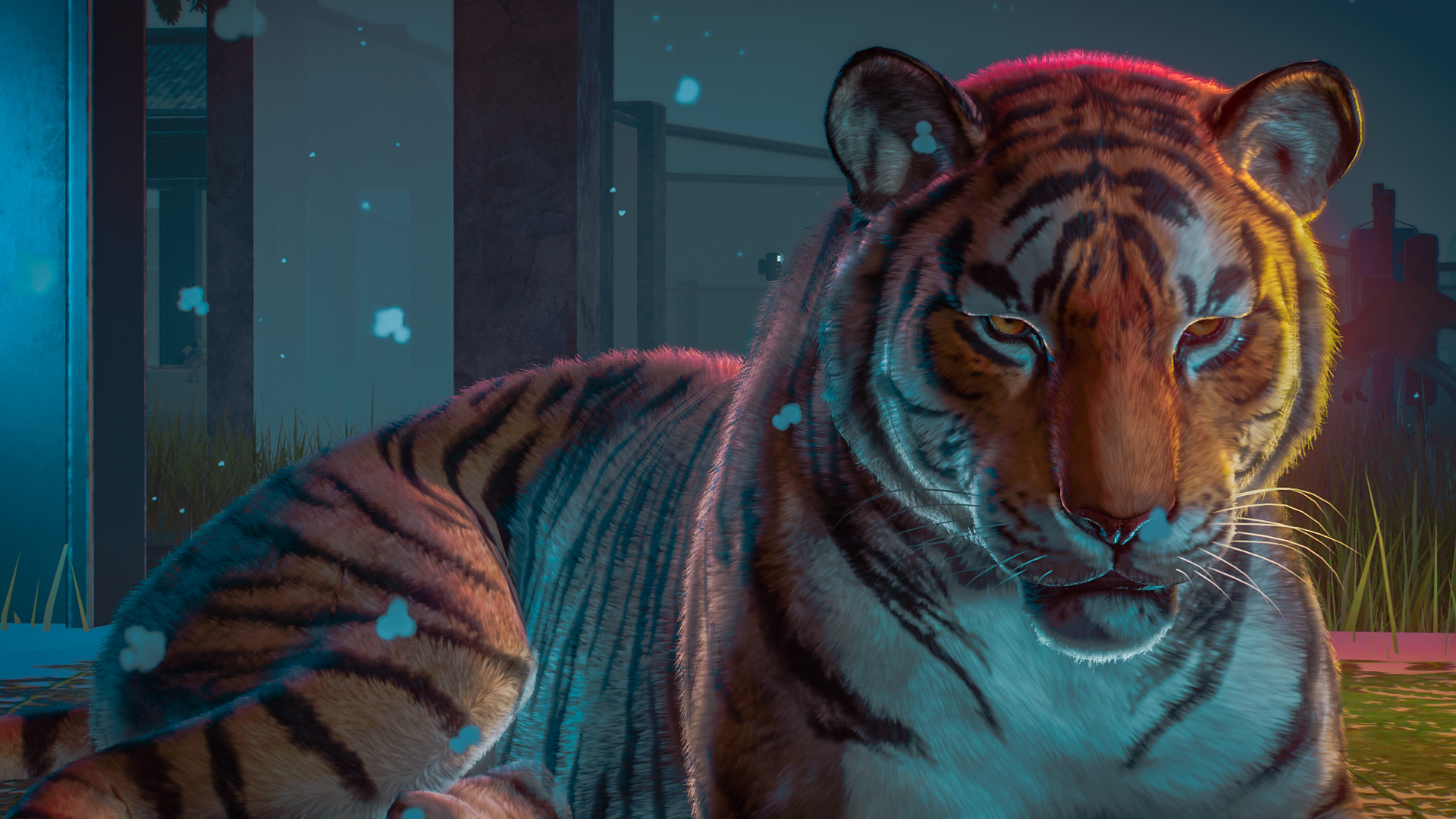 Planet Zoo Screenshot 2023.02.03 - 12.49.44.06.jpg