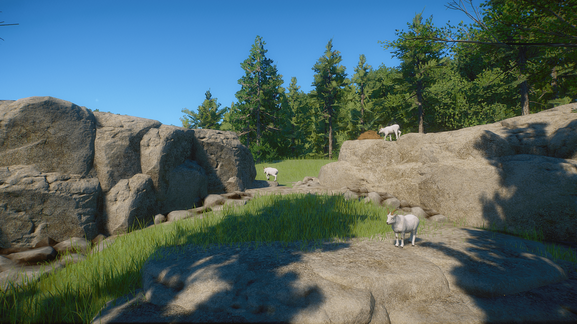 Planet Zoo Screenshot 2023.02.25 - 11.35.38.91.png