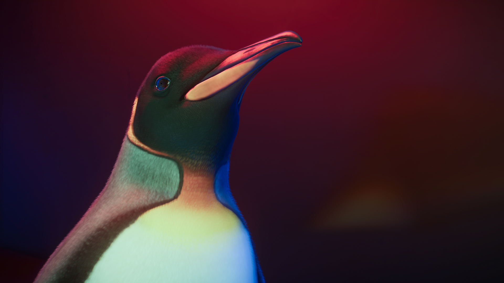 Planet Zoo Screenshot 2023.03.13 - 02.37.42.08.jpg