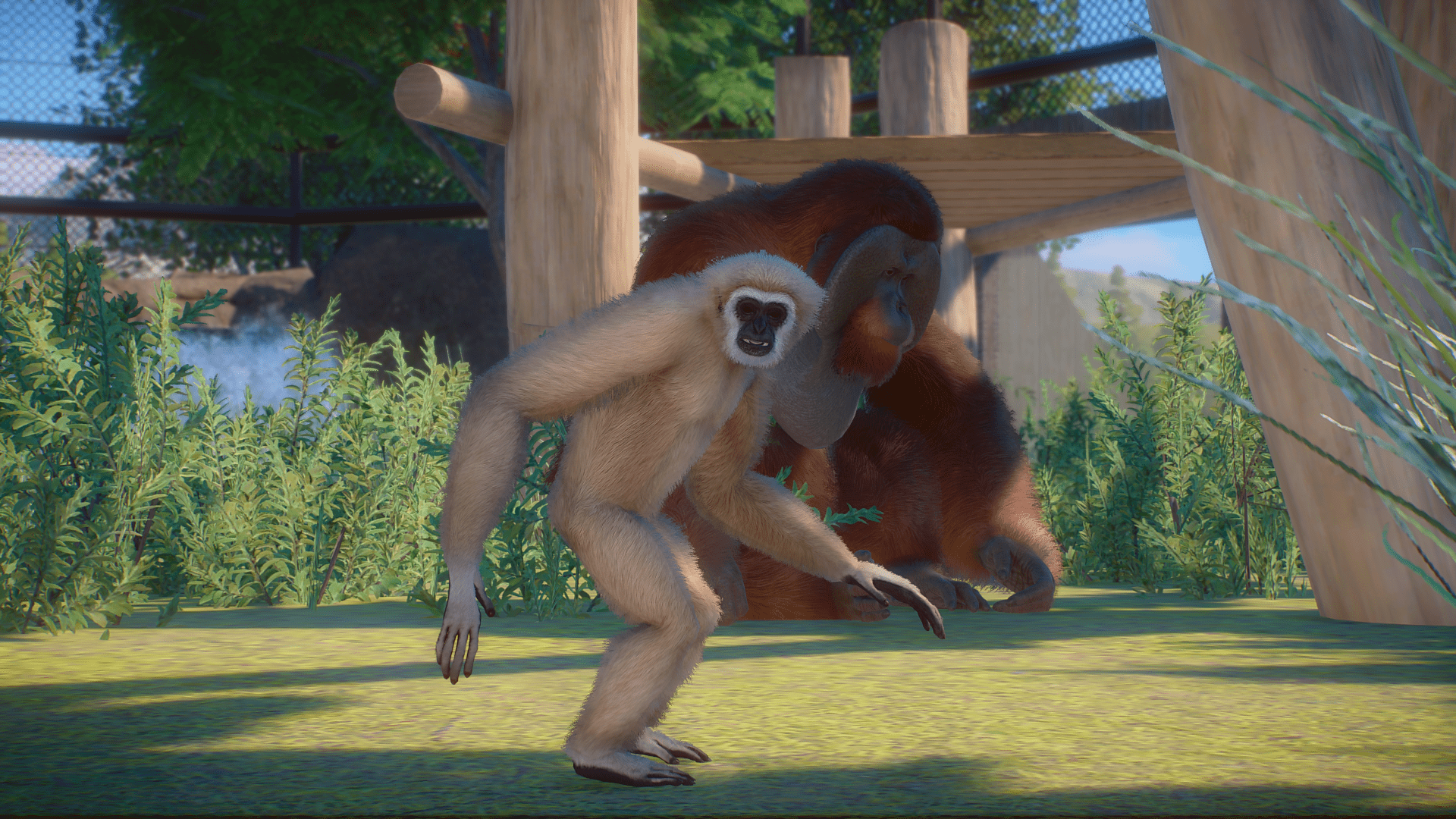 Planet Zoo Screenshot 2023.06.20 - 12.15.10.61.png