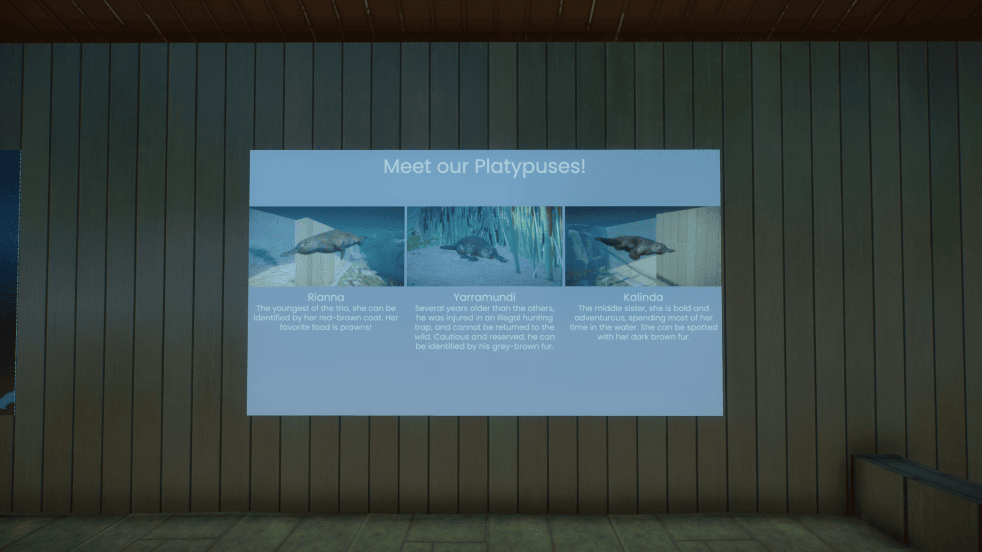 Planet Zoo Screenshot 2023.07.09 - 15.22.27.88.png