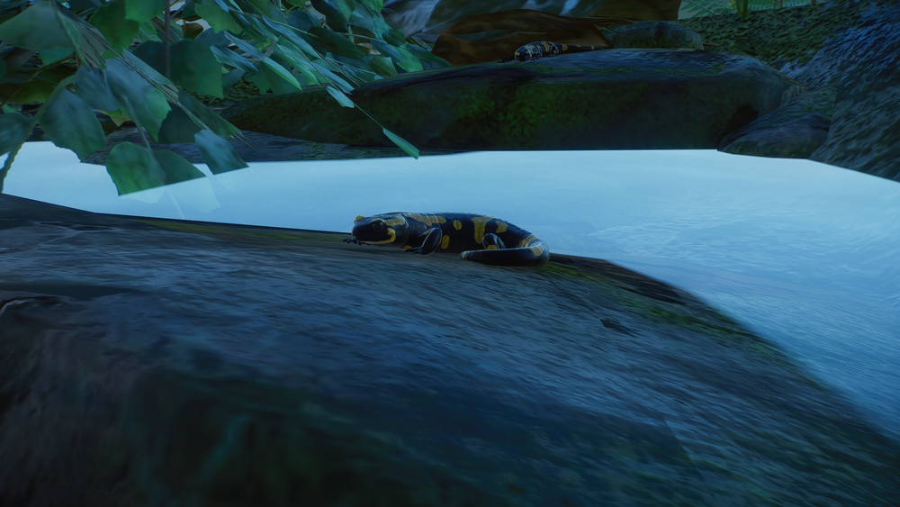 Planet Zoo Screenshot 2023.07.25 - 18.52.29.88.png