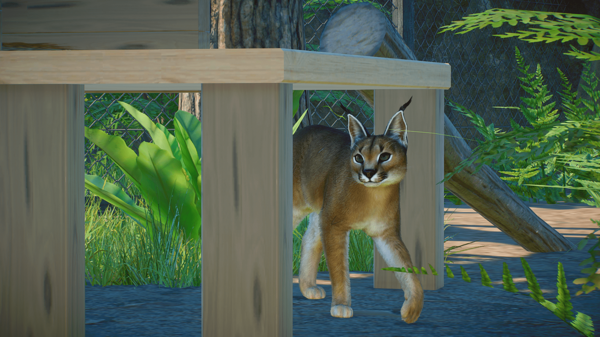 Planet Zoo Screenshot 2023.09.02 - 14.27.59.09.png