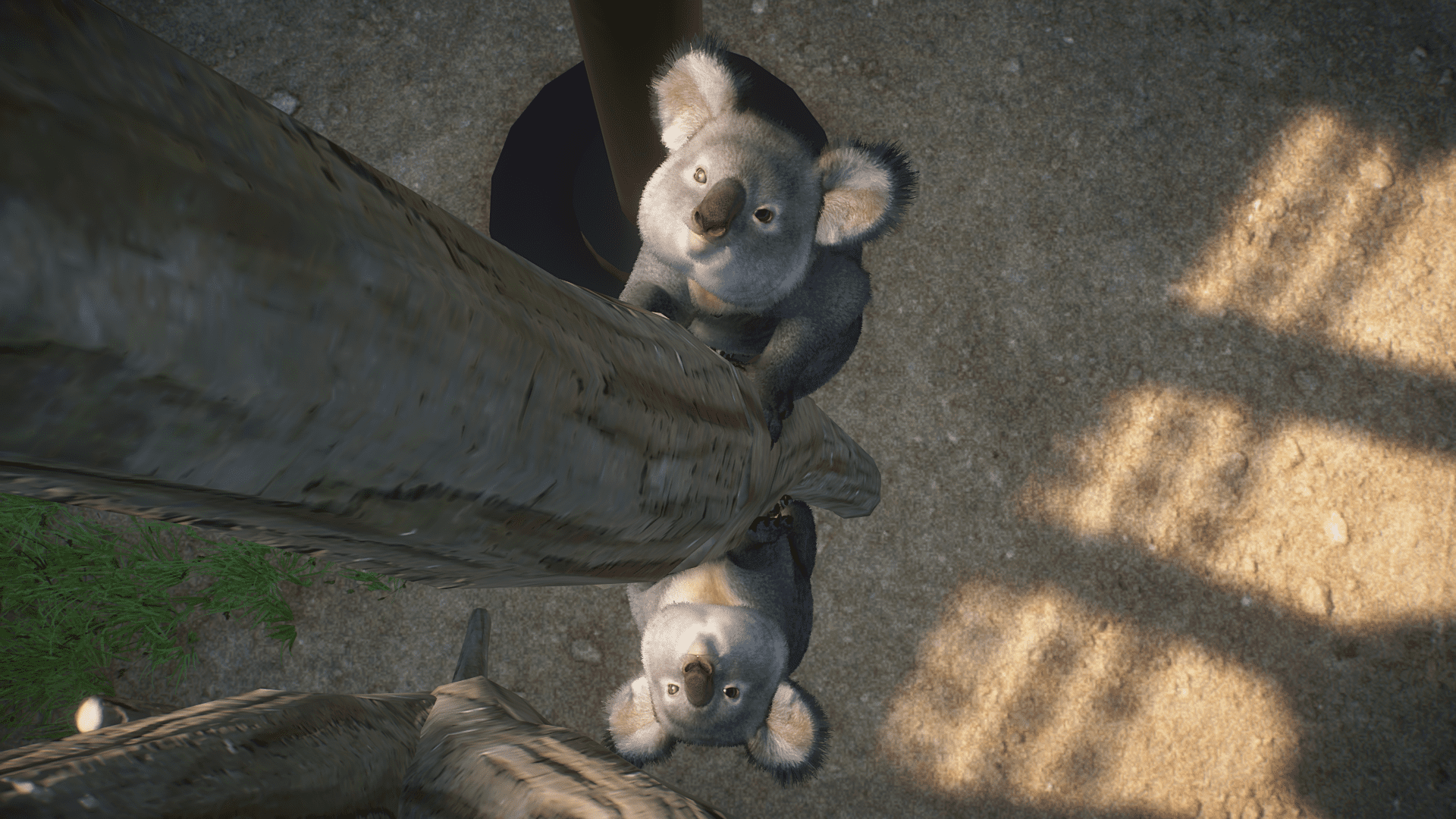 Planet Zoo Screenshot 2023.10.12 - 14.48.58.74.png