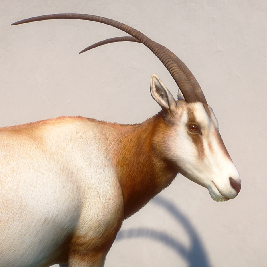 Planet Zoo Screenshot 2023.10.31 - 18.40.16.79.png