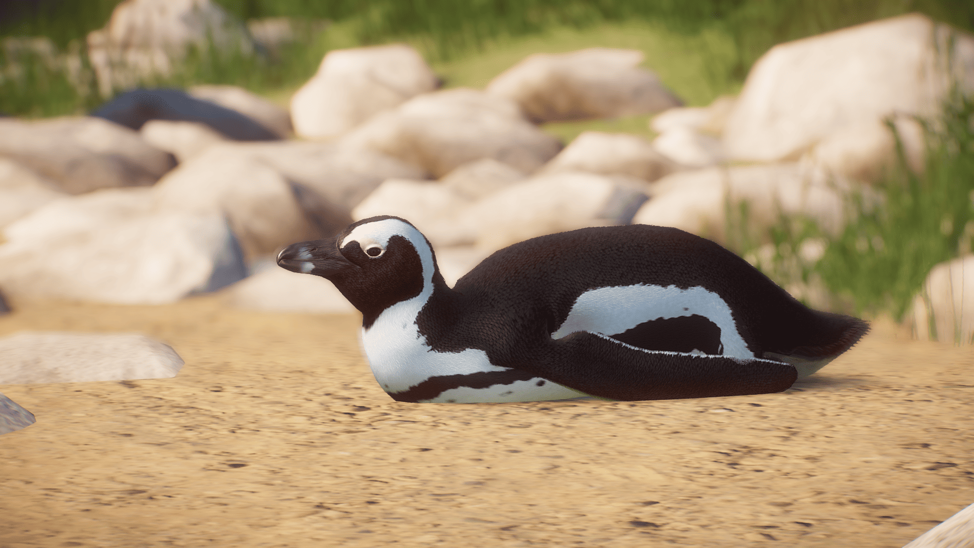 Planet Zoo Screenshot 2024.01.09 - 14.48.14.99.png