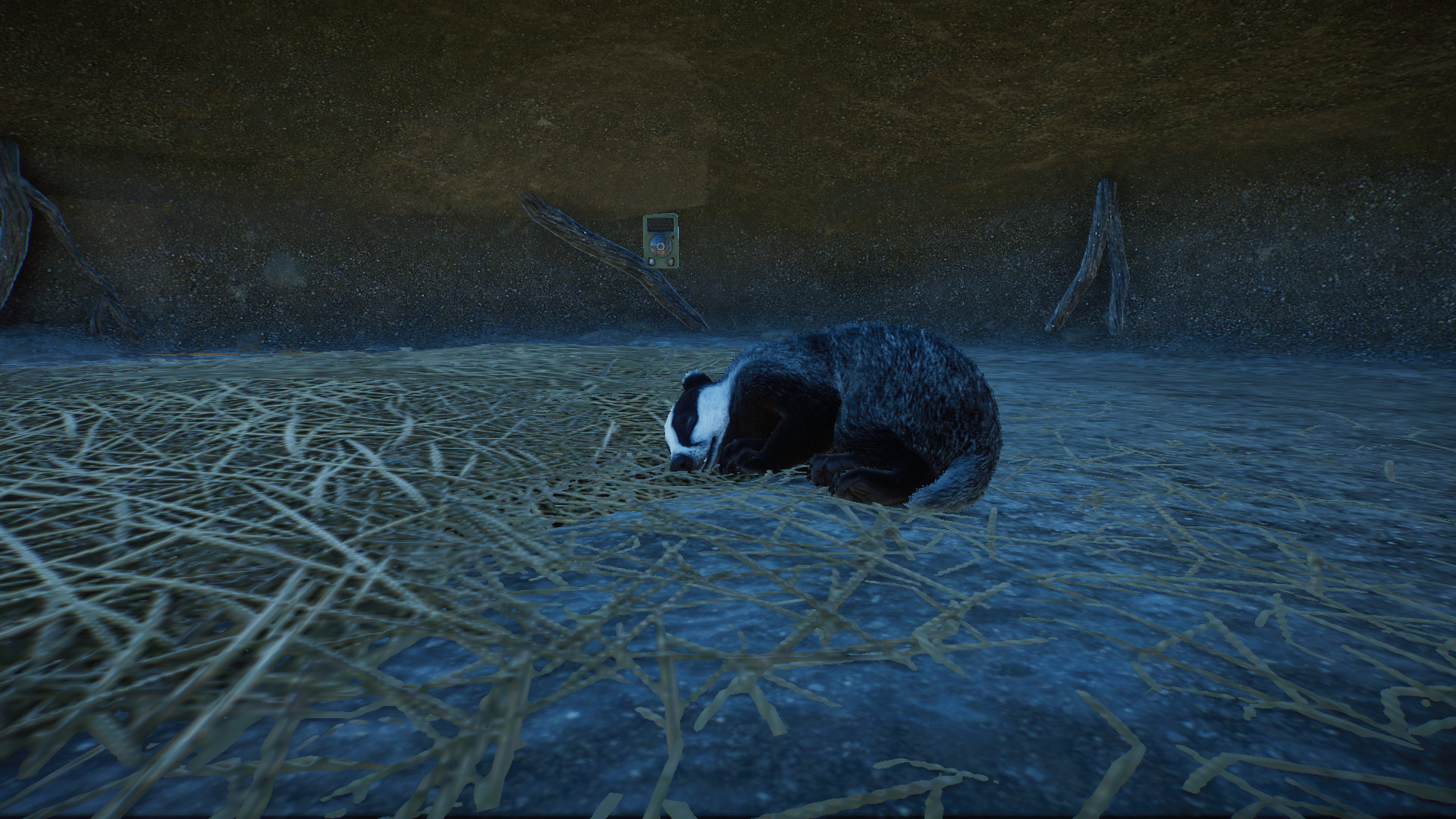 Planet Zoo Screenshot 2024.10.25 - 10.49.43.16.jpg