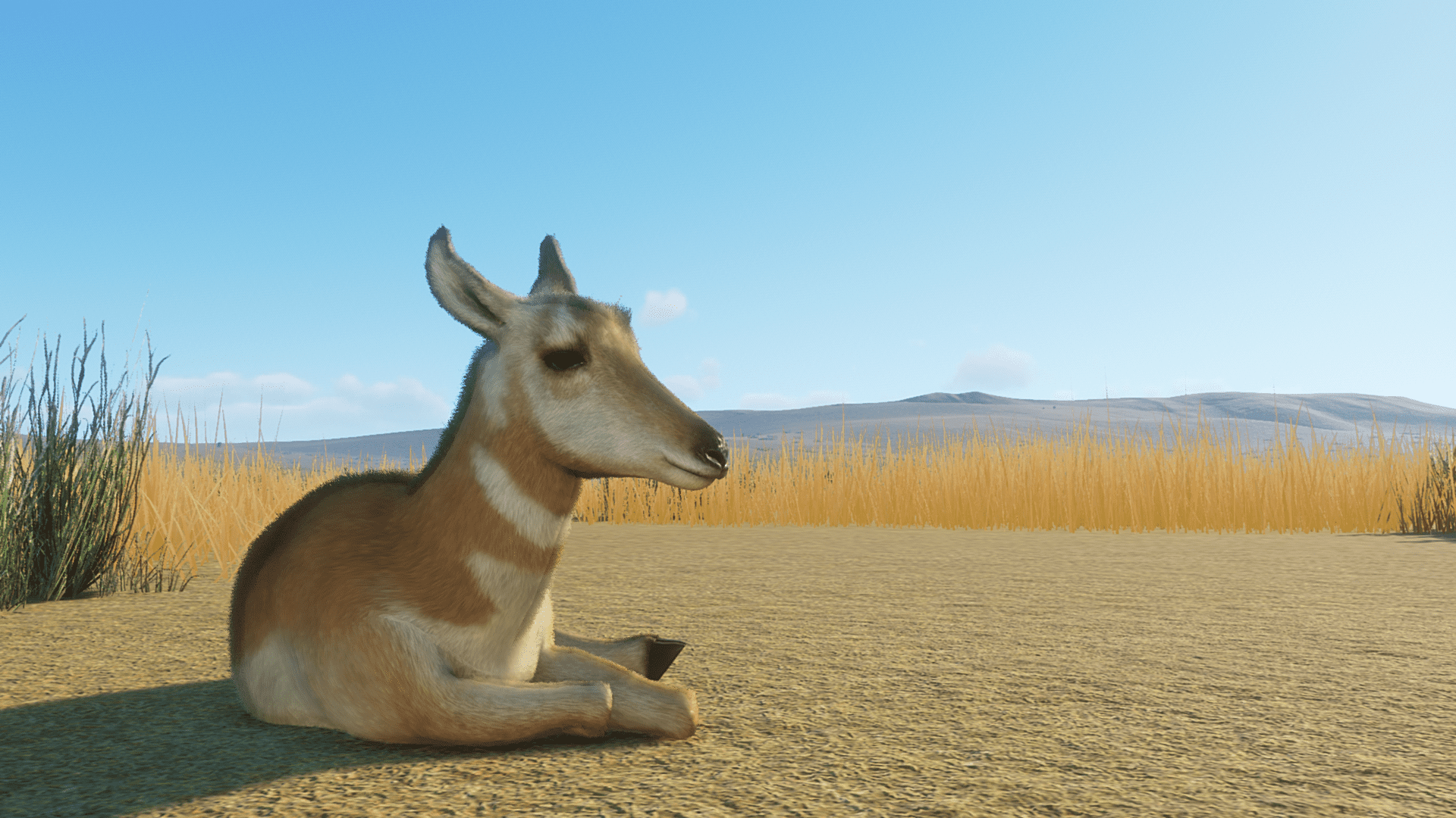 Planet Zoo Super-Resolution 2022.10.23 - 20.38.14.63 Thumbnail.png