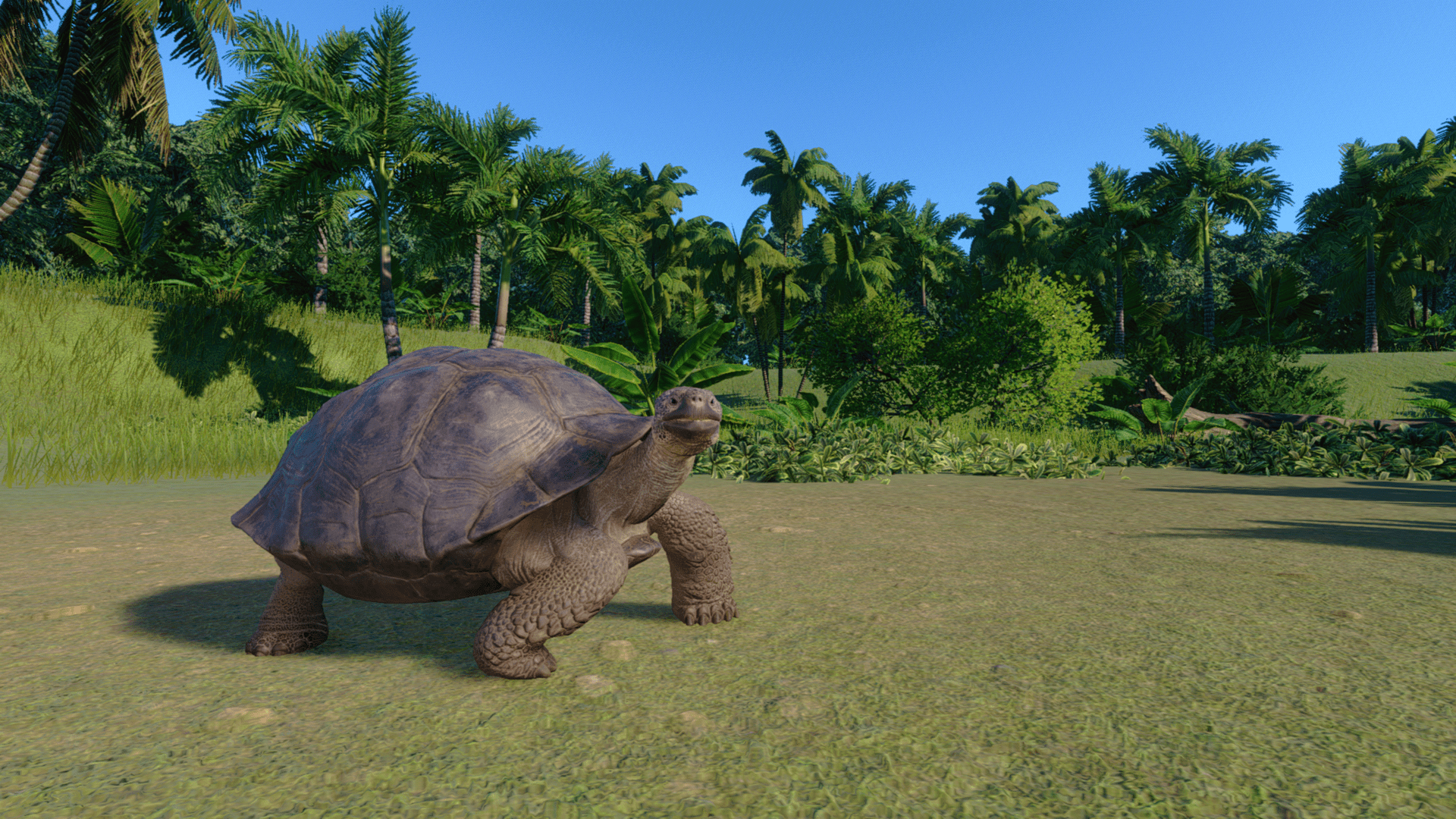 Planet Zoo Super-Resolution 2022.10.25 - 23.33.32.70 Thumbnail.png
