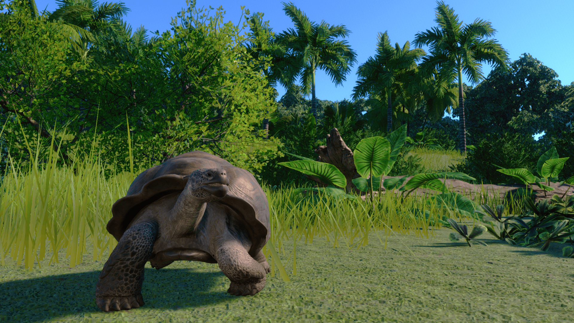 Planet Zoo Super-Resolution 2022.10.25 - 23.43.34.29 Thumbnail.png