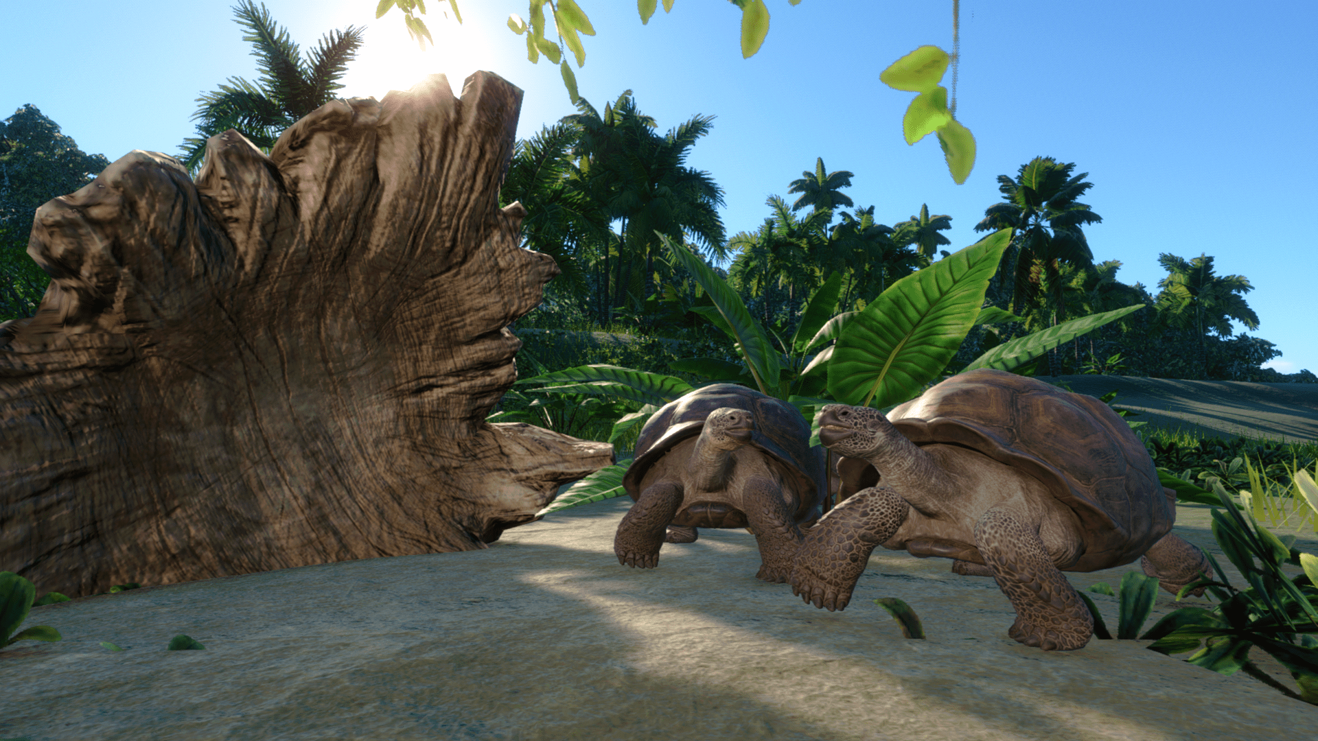 Planet Zoo Super-Resolution 2022.10.25 - 23.51.29.58 Thumbnail.png