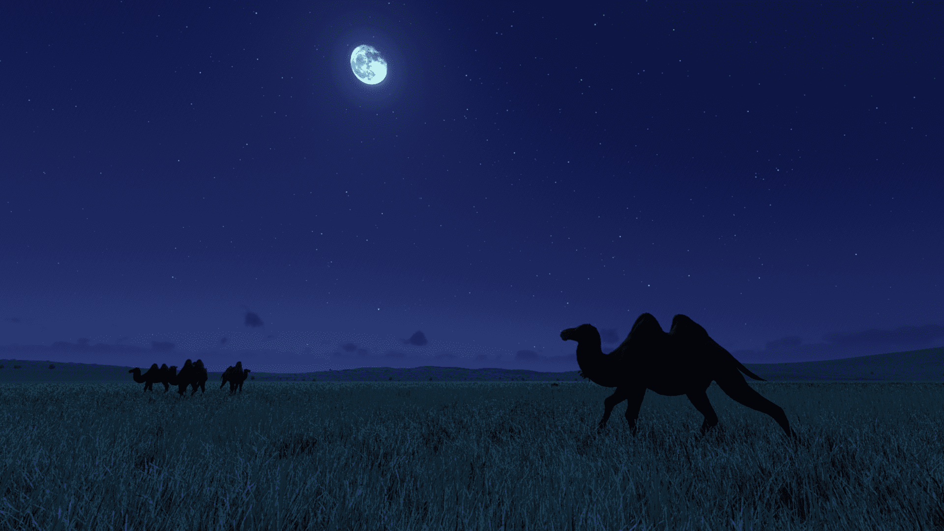 Planet Zoo Super-Resolution 2022.10.30 - 21.22.12.21 Thumbnail.png