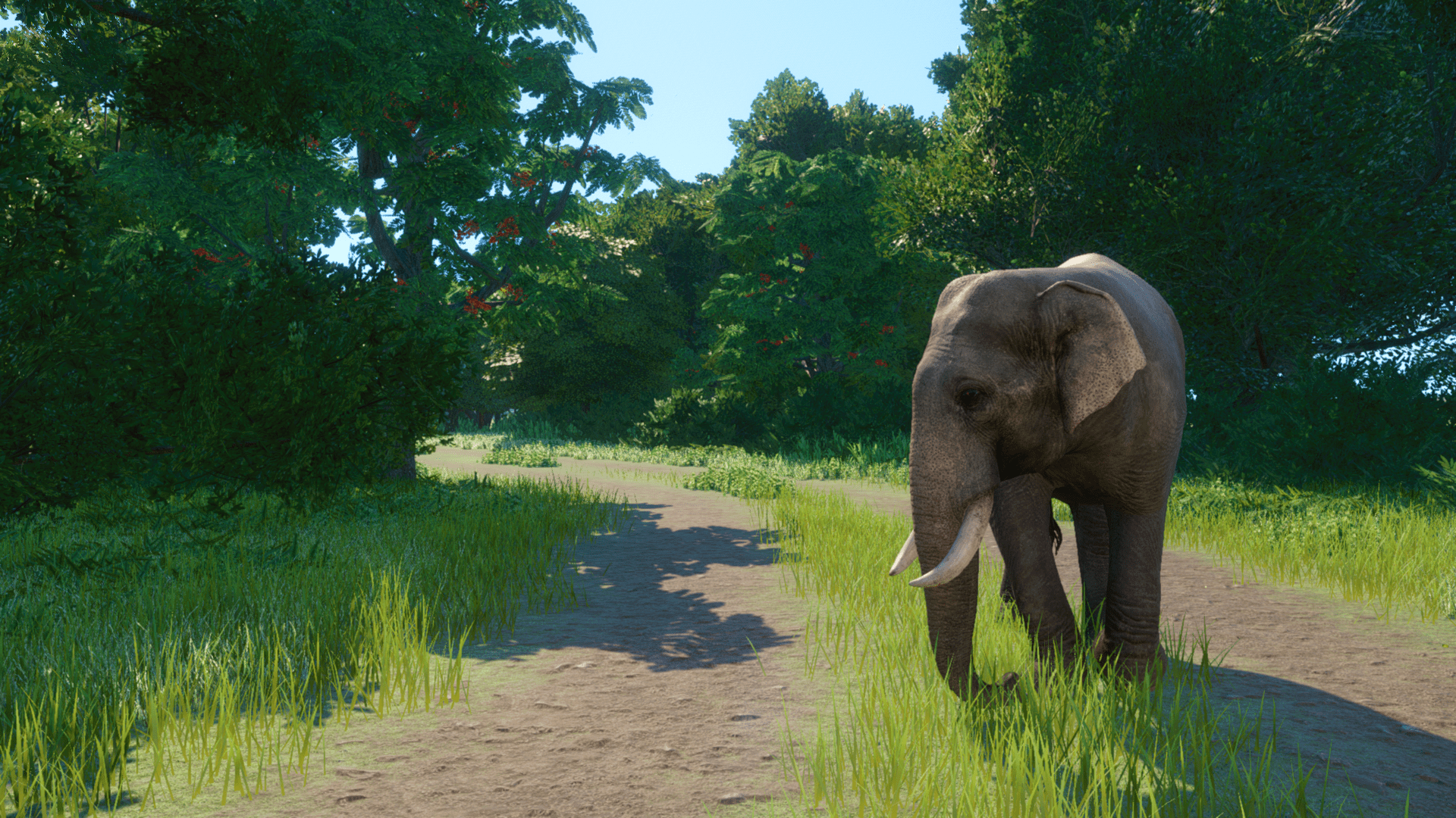 Planet Zoo Super-Resolution 2022.10.31 - 18.33.29.84 Thumbnail.png