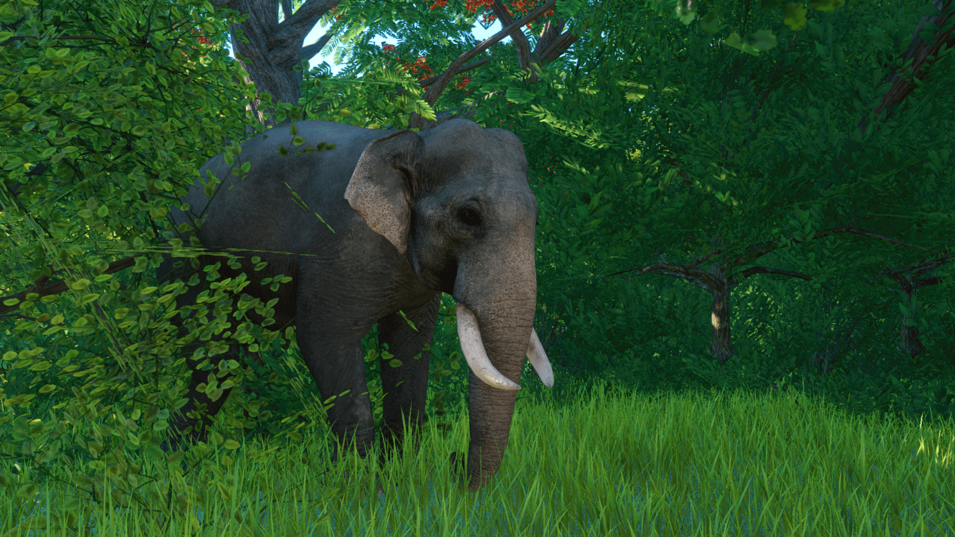 Planet Zoo Super-Resolution 2022.10.31 - 18.39.48.19 Thumbnail.png