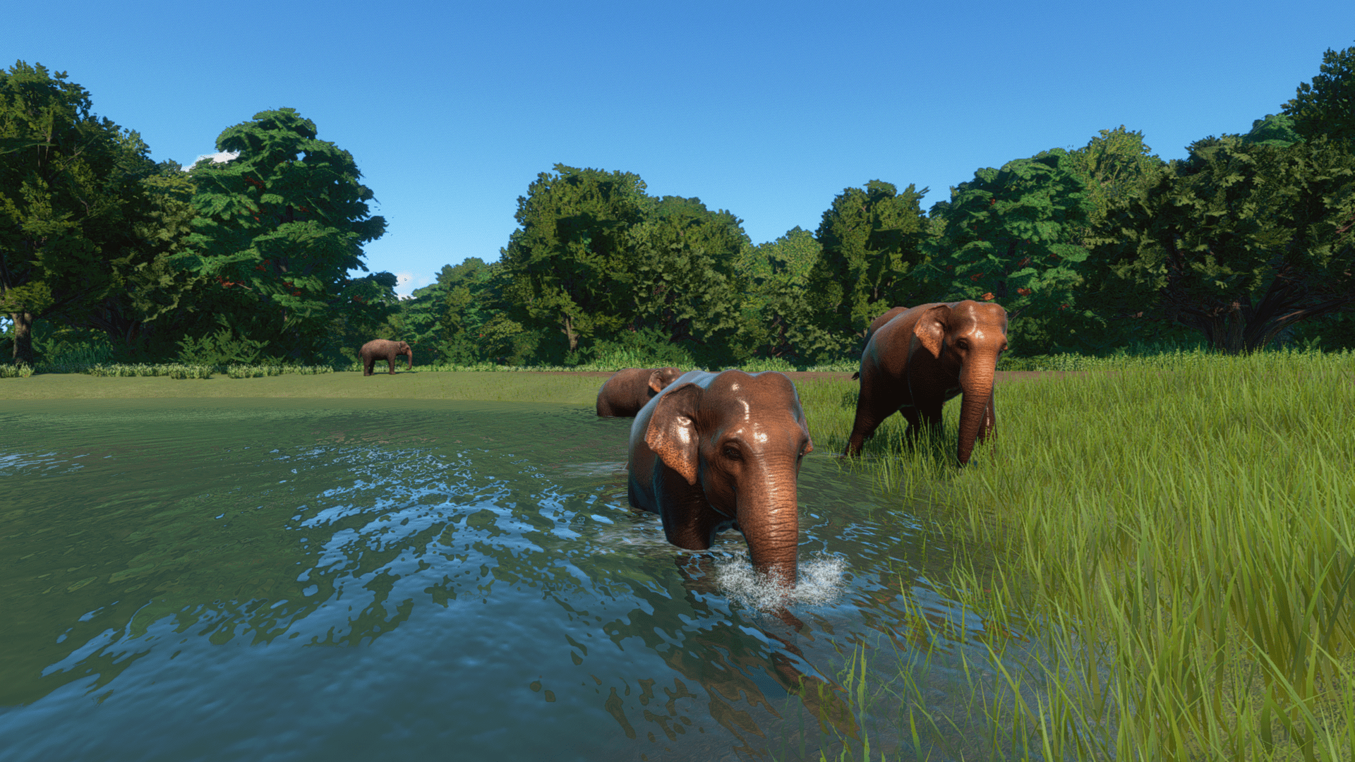 Planet Zoo Super-Resolution 2022.10.31 - 19.09.04.74 Thumbnail.png
