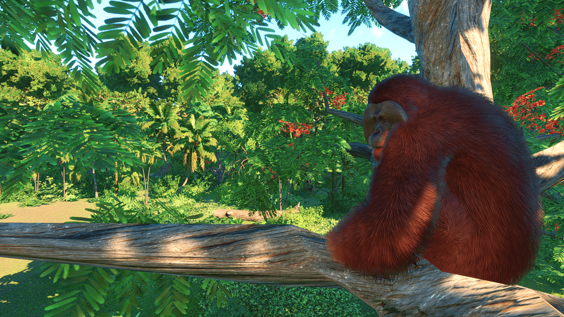 Planet Zoo Super-Resolution 2022.11.06 - 16.48.18.83 Thumbnail.png