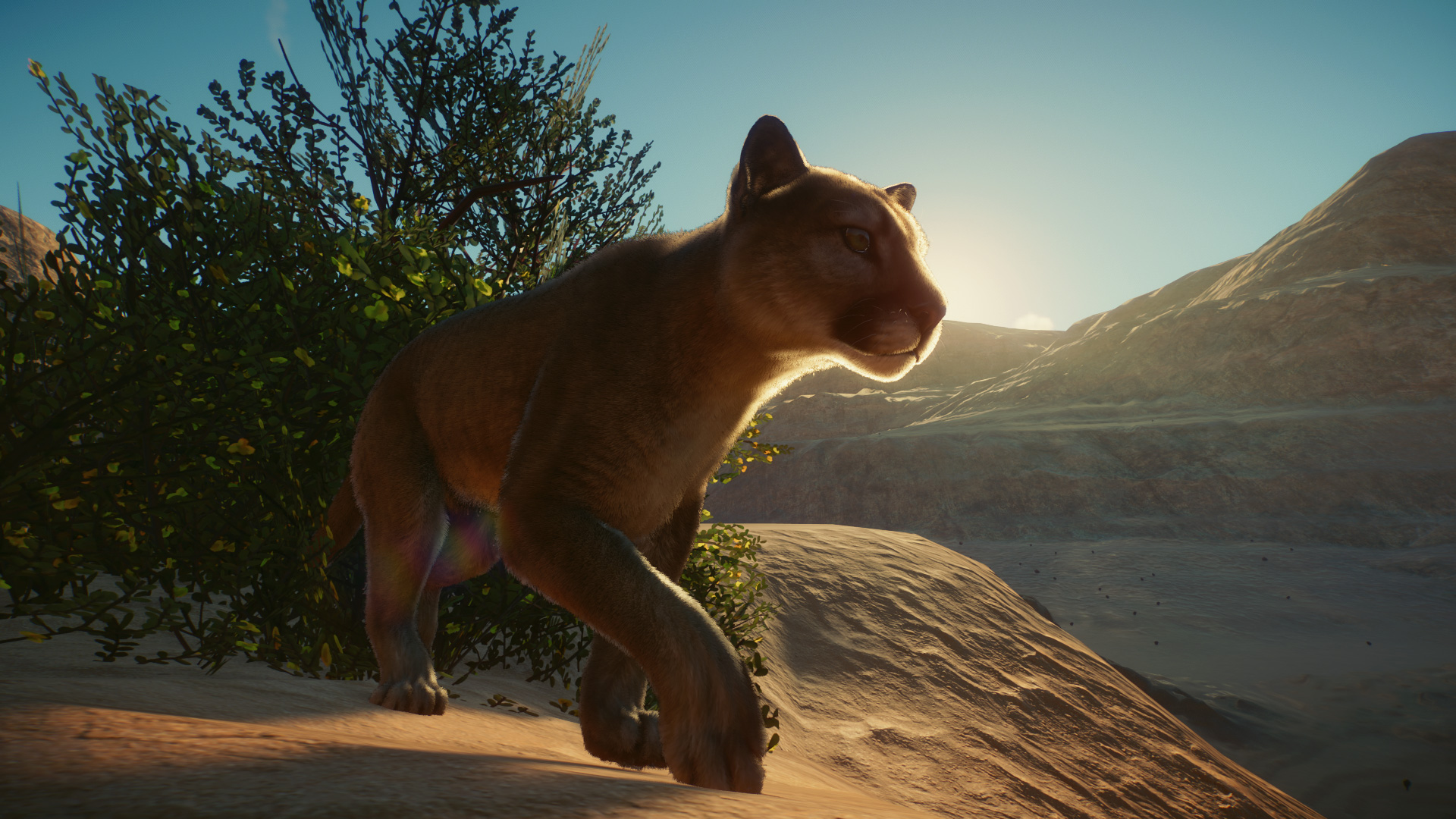 Planet-Zoo_2022.02.21-12.jpg