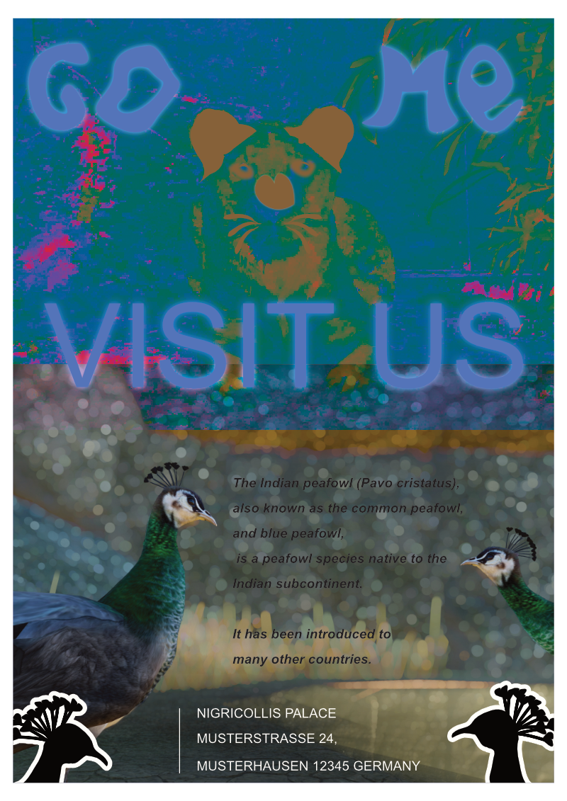Planet-Zoo_peafowl-Poster_800w.png