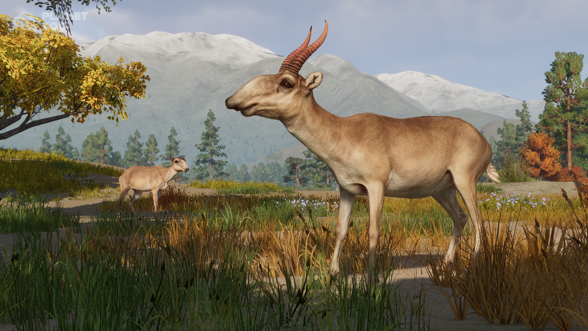 Planet_Zoo_.jpg