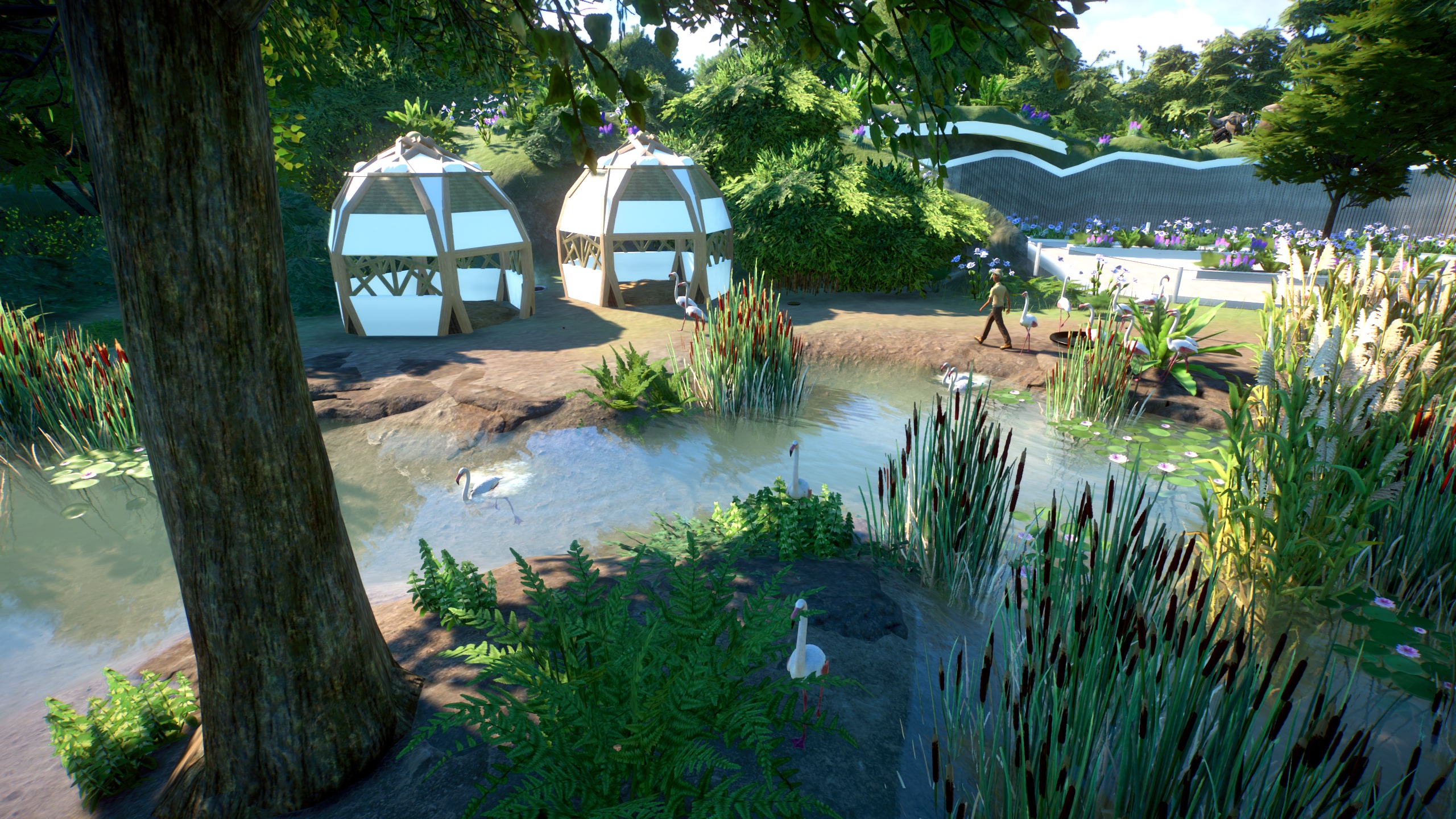 planet_zoo_screensho_NBZ1Q.jpg