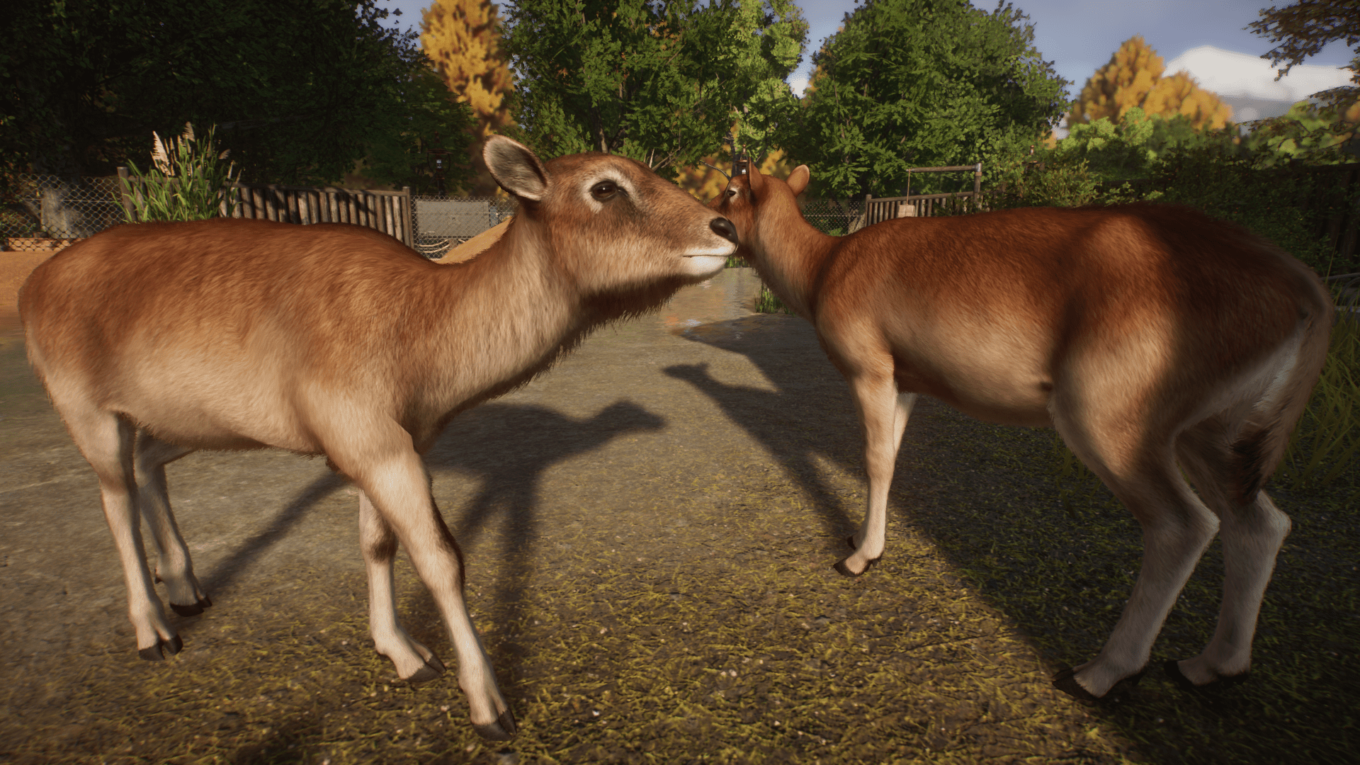 Planet_Zoo_Screenshot_2022.05.12.png
