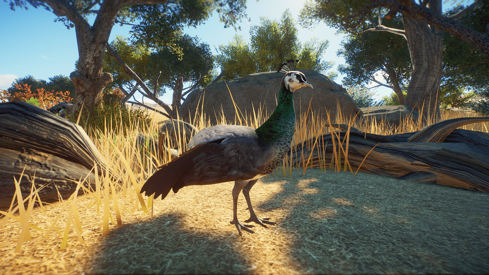 Planet_Zoo_Screenshot_2022.10.26_-_18.23.23.66.png