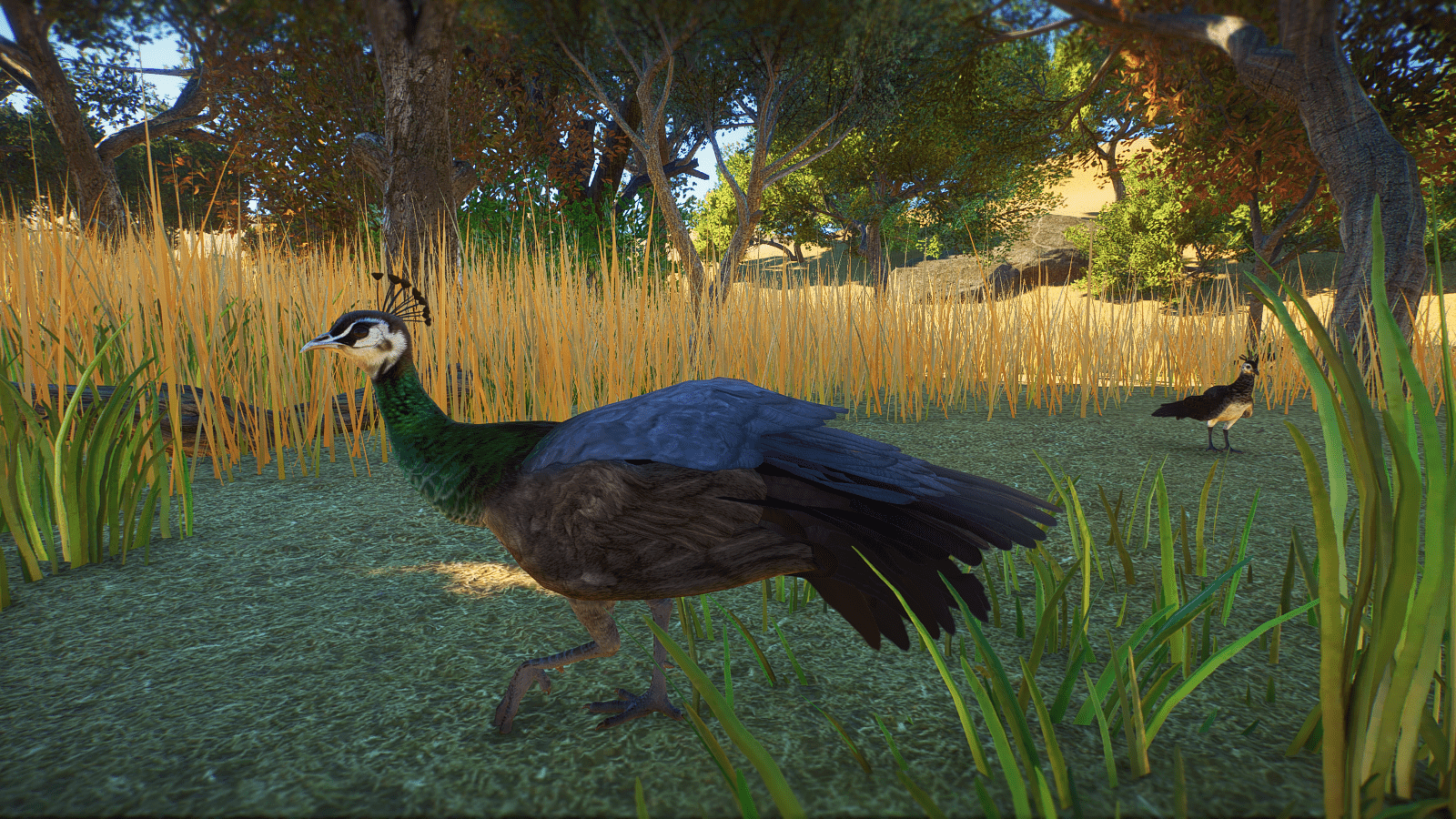 Planet_Zoo_Screenshot_2022.10.26_-_19.11.12.54.png