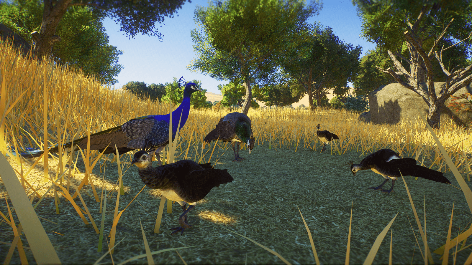 Planet_Zoo_Screenshot_2022.10.26_-_19.26.12.04.png