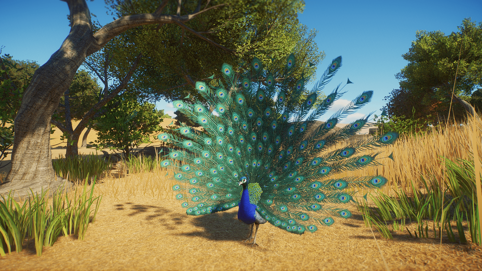 Planet_Zoo_Screenshot_2022.10.26_-_19.47.55.71.png